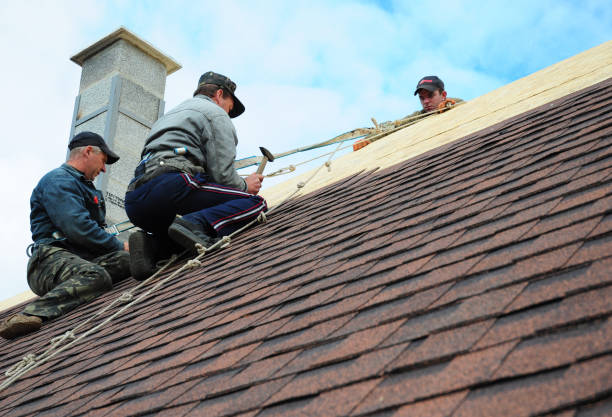 Professional Roofing Contractor in Warsaw, NC