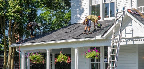 Best Metal Roofing Contractor  in Warsaw, NC
